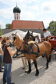 Kutschen fahren beim Hoffest(©Foto. Martin Schmitz)